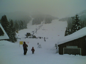 View from base of Mt. Hood Skibowl